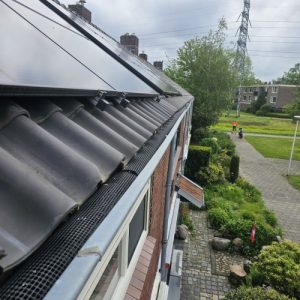 Dakgoten en vogelwering